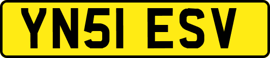 YN51ESV