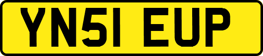 YN51EUP