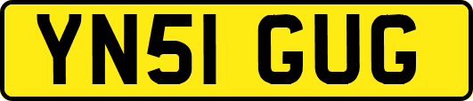 YN51GUG