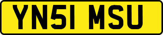 YN51MSU