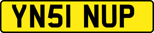 YN51NUP