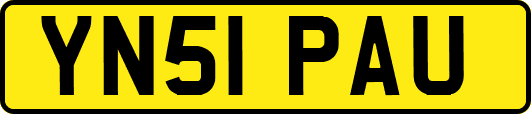 YN51PAU