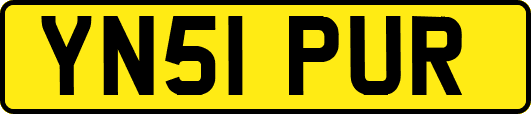 YN51PUR