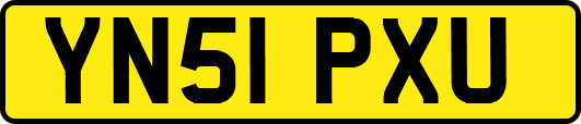 YN51PXU