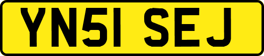 YN51SEJ