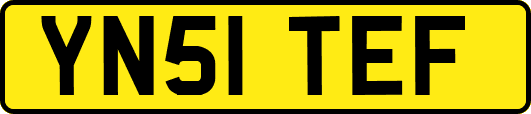 YN51TEF