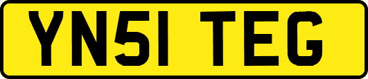 YN51TEG