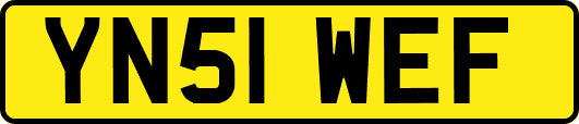 YN51WEF