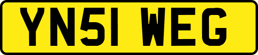 YN51WEG