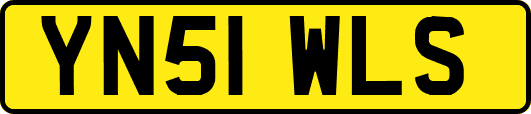 YN51WLS