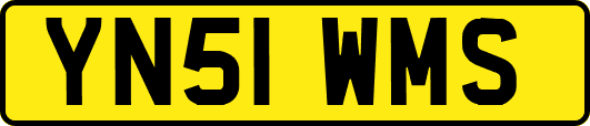 YN51WMS
