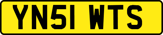 YN51WTS