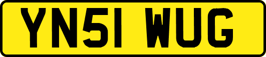 YN51WUG
