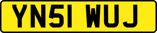 YN51WUJ