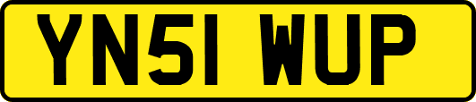 YN51WUP