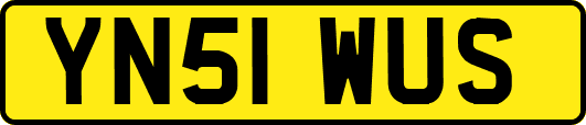 YN51WUS