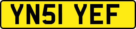 YN51YEF
