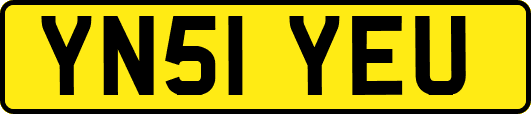 YN51YEU
