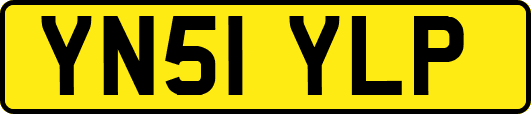 YN51YLP