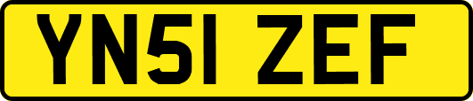 YN51ZEF