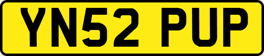 YN52PUP