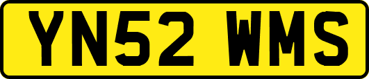 YN52WMS