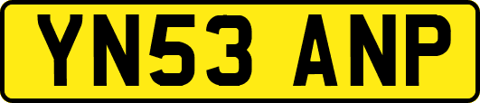 YN53ANP