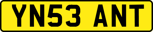 YN53ANT