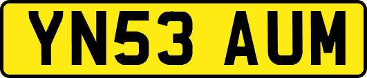 YN53AUM