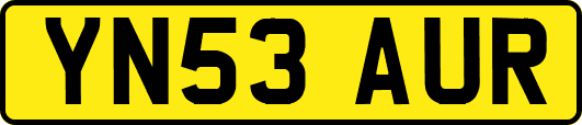 YN53AUR