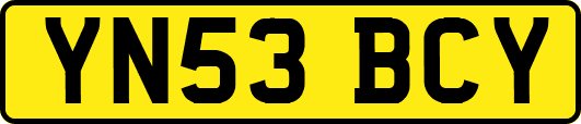 YN53BCY