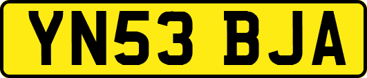 YN53BJA