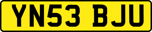 YN53BJU