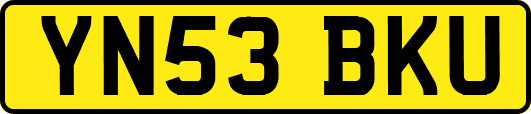 YN53BKU