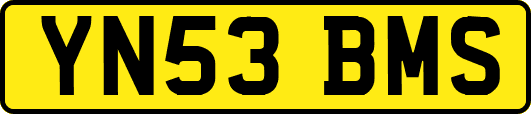 YN53BMS