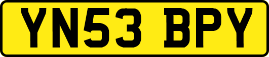 YN53BPY