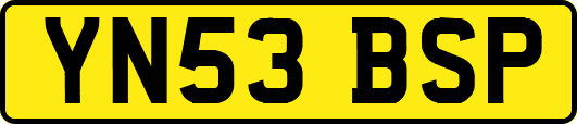 YN53BSP