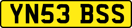 YN53BSS
