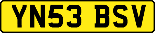 YN53BSV