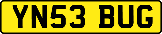 YN53BUG