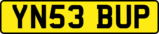 YN53BUP