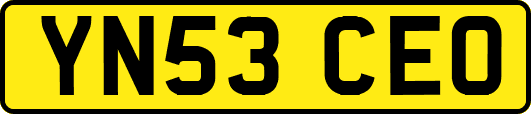 YN53CEO