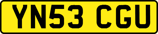 YN53CGU