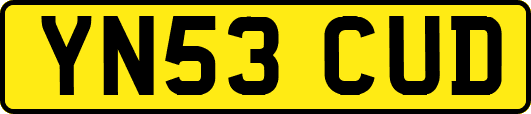 YN53CUD