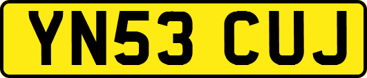 YN53CUJ