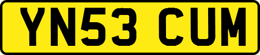 YN53CUM