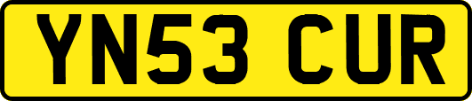 YN53CUR