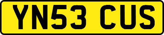 YN53CUS