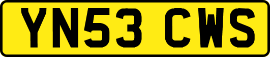 YN53CWS