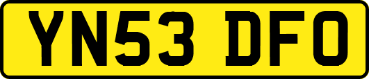 YN53DFO